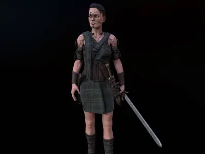 Celtic Warrior Low-poly 3D model
