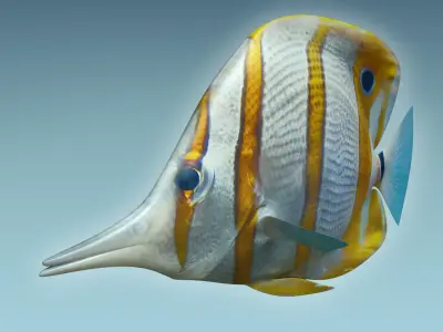 Butterfly Fish 3D model