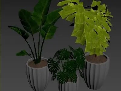Plant Collection Rpm 08 3D model