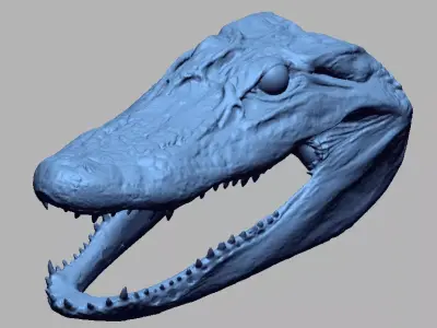 Alligator Head 3D print model