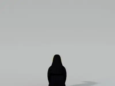 Toucan bird Low-poly 3D model