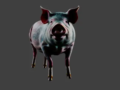 Pig Animal Low-poly 3D model