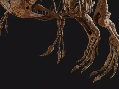 Carcharodontosaurus Skeleton 3D model