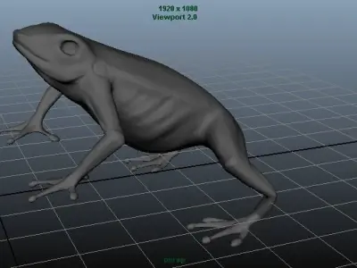 Red eyed tree Frog 3D model
