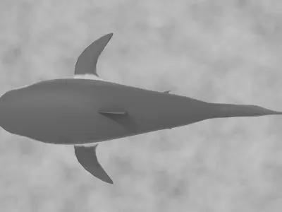 White shark animals low-poly game ready Free low-poly 3D model