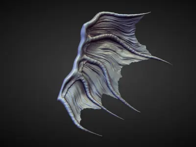 45 WINGS AND FINS high poly sculpts 3D model