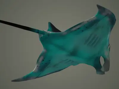 mantaray manta ray mantas devil fish shark giant reef  3D model
