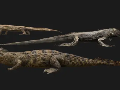 Reptile Crocodile Varan Iguana Low-poly 3D model