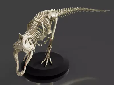 Realistic T-Rex Dinosaur Skeleton 3D model