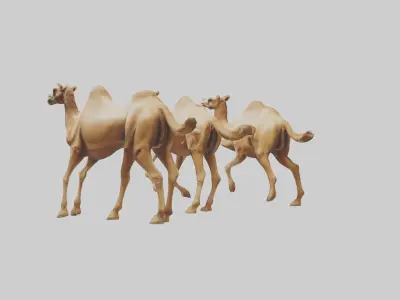 Camels galloping model Low-poly 3D model