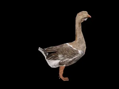 duck 3d goose Low-poly 3D model