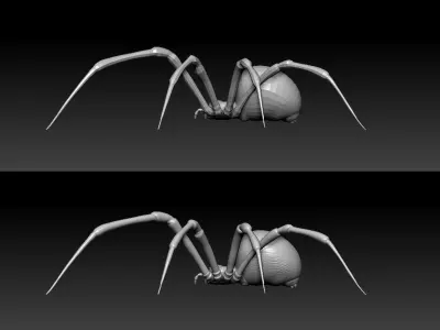 Black Widow Spider Low-poly 3D model