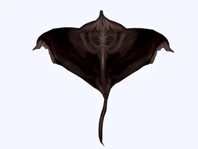 Stingray Low-poly 3D model