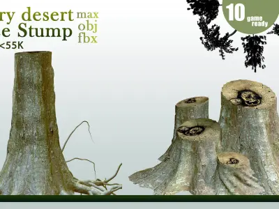 10 Tree Stump VOL 06 3D model