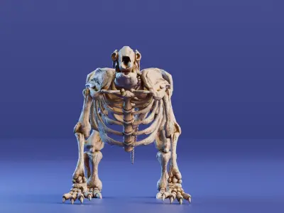 Realistic Mammals Fossil - Megatherium Low-poly 3D model