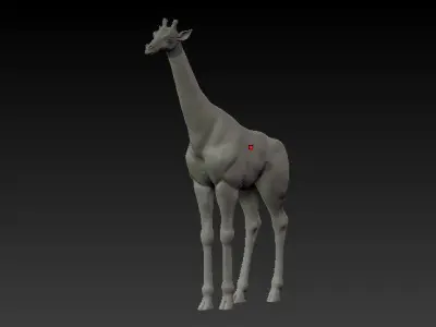 Jiraffe giraffe 3D model