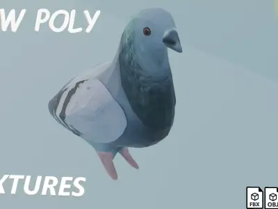pigeon Low-poly 3D model