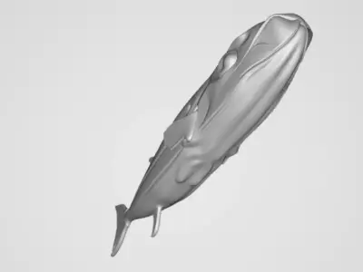 Puffer fish 3D model