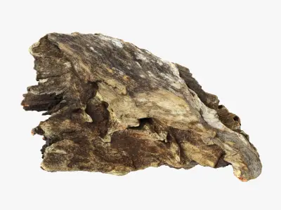 Tree Trunk Piece 13 3D model