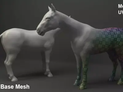 Horse Base Mesh 3D model