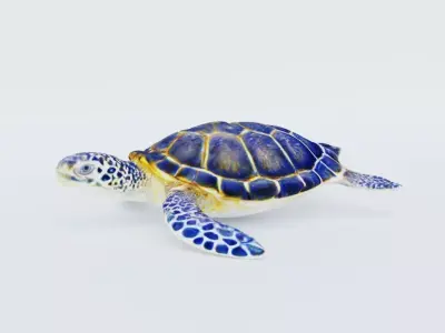 Sea Turtle Free 3D model