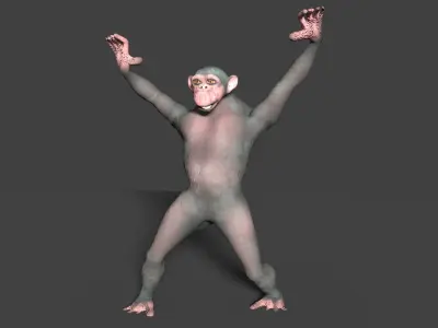 CHIMPAZEE monkey running Low-poly 3D model