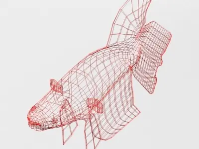 Fish Betta Low-poly 3D model