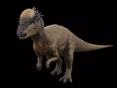 Pachycephalosaurus - Thick-Headed Lizard Low-poly 3D model