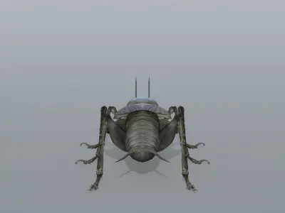 Gryllulus   Cricket Low-poly 3D model