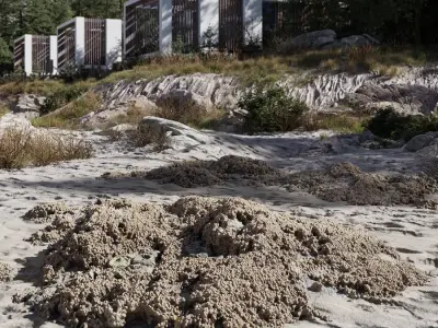 Medium Barnacle Covered Beach Rock Model 