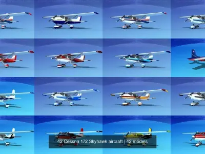 42 Cessna 172 Skyhawk aircraft 3D Model Collection