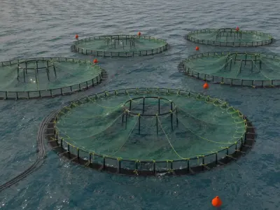 Fish Farm Net Ocean Sustainable Octane 3D model