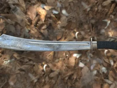 Chinese Sword  3D model