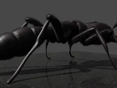 Sculpted ant 3D model with hair Low-poly 3D model
