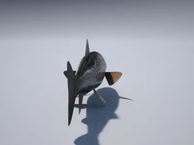 trout 3ds max vray 3D model