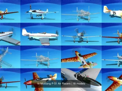 18 Mustang P-51 Air Racers 3D Model Collection