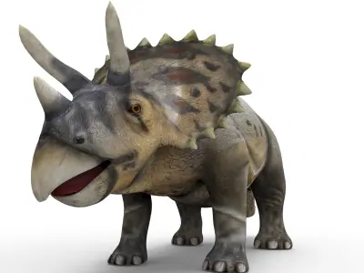 Realistic Triceratops 3D Models game ready Low-poly 3D model
