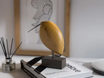 Decorative-AR Studio-Vol 06 3D model