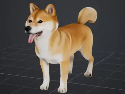 Dog Model - Shiba 3D model