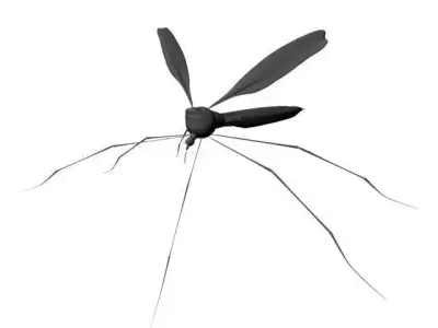 Mosquito 3D model