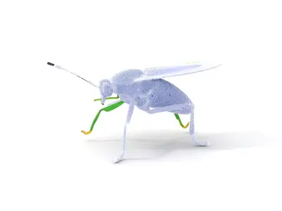 Green Insect Drone model pack Low-poly 3D model