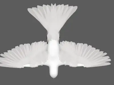 sparrow bird flying in sky 3D model