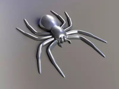 A small Spider 3D print model