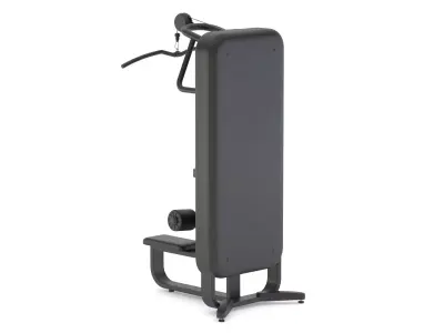 Technogym Selectorized Artis Lat Machine 3D model