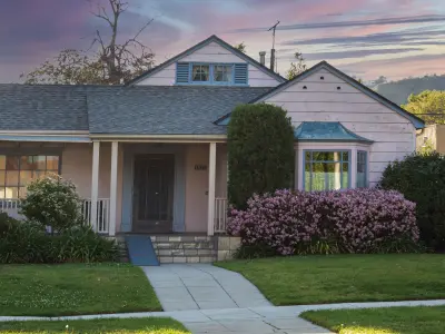 2021 PBR Mexican Lime Collection - Citrus Aurantifolia  3D model