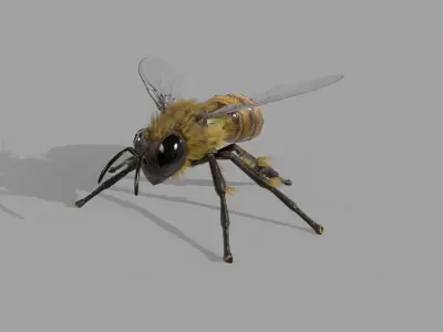 Bee lowpoly Low-poly 3D model