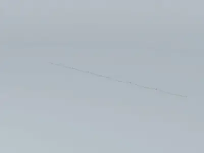 High Voltage Line Free 3D model