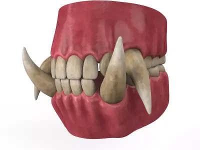 Orc Teeth 3D model