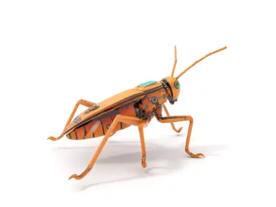 Golden Mechanical Insect model pack Low-poly 3D model