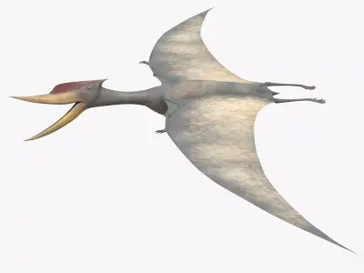 8K Realistic Pterodactyl Low-poly 3D model